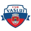 CSM华斯雷