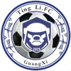 河池挺立竞技